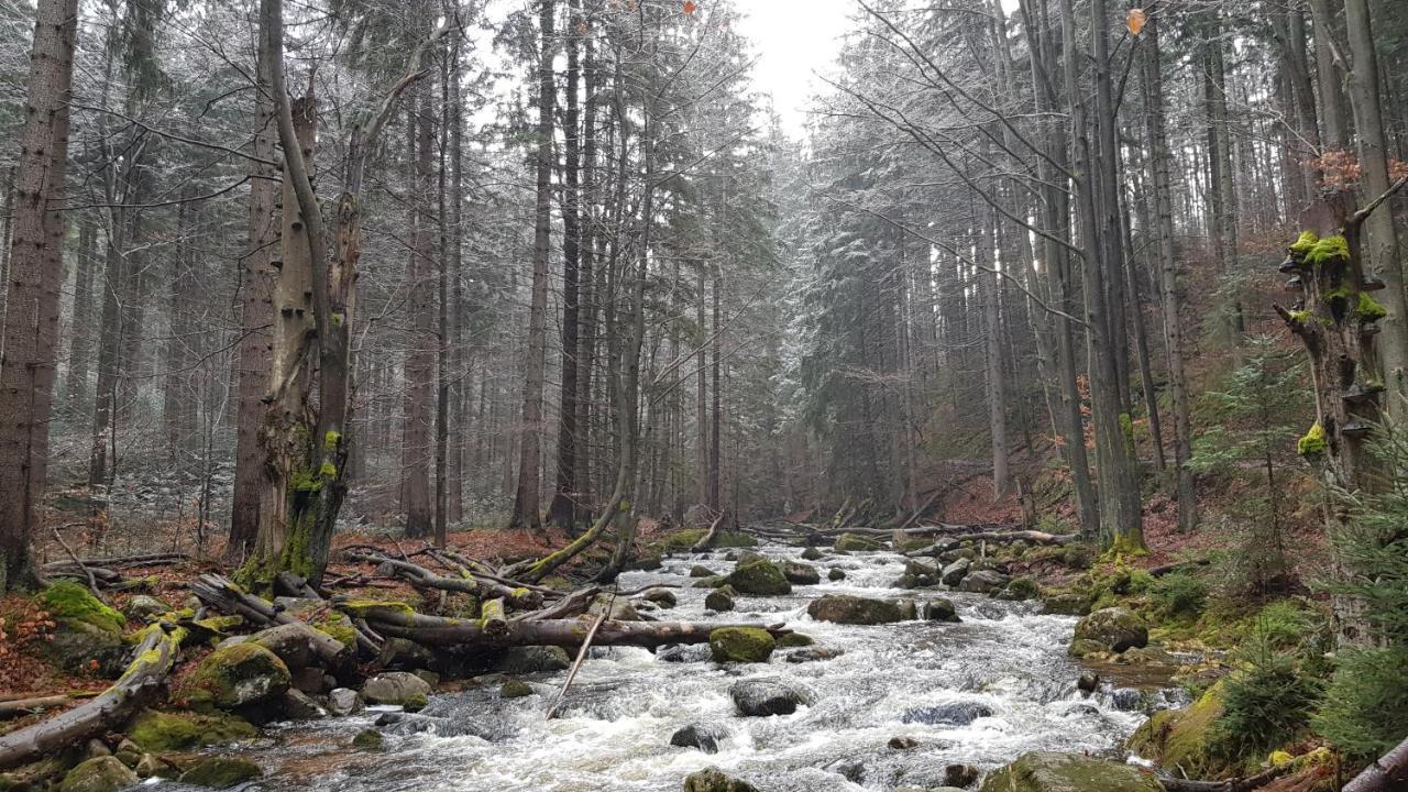 Villa Leika - Panoramablick Am Riesengebirge Mysłakowice Εξωτερικό φωτογραφία